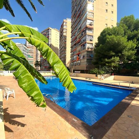 Don Miguel I-2 Lägenhet Benidorm Exteriör bild