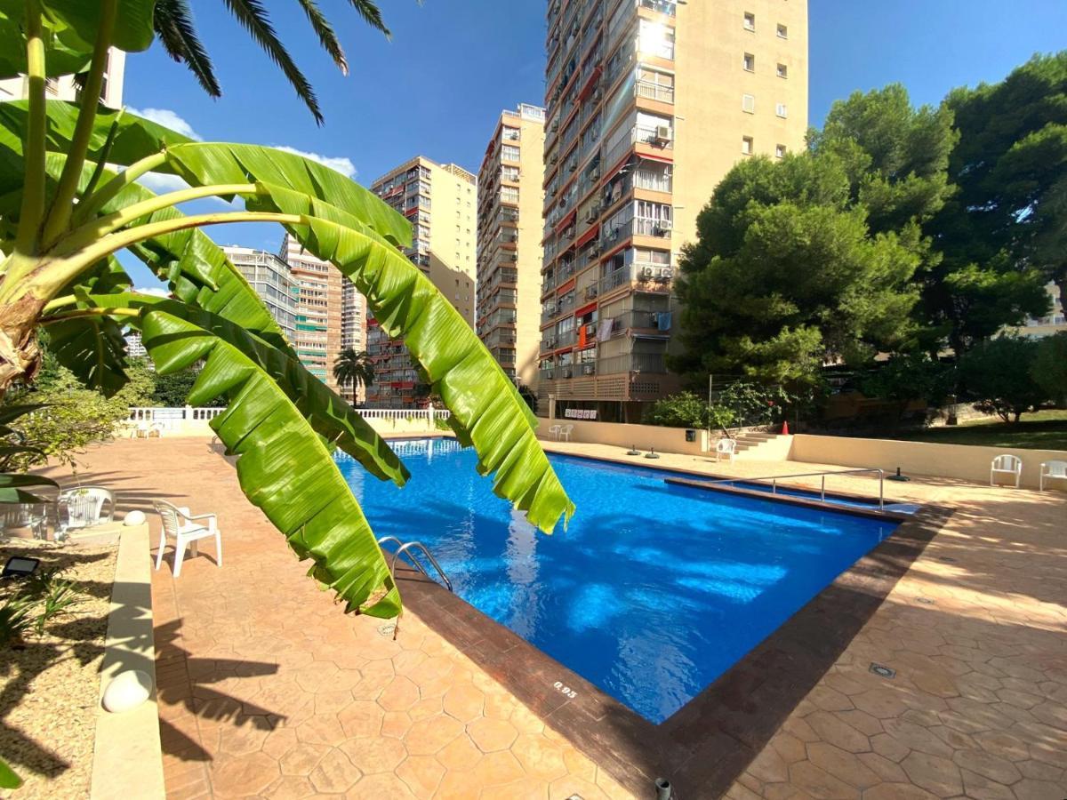 Don Miguel I-2 Lägenhet Benidorm Exteriör bild